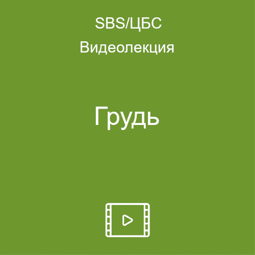 ВЕБИНАР – ГРУДЬ (ПРОДУКТ)